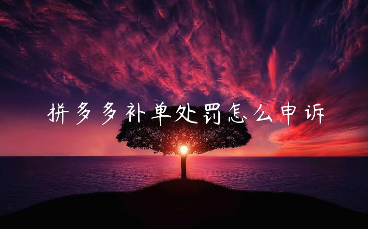 拼多多補(bǔ)單處罰怎么申訴